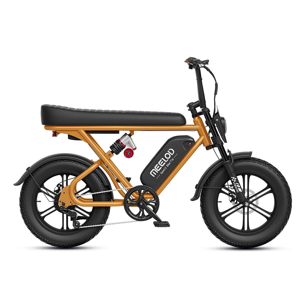 Thumbnail: Meelod T16 1000w Street/Trail Kid's eBike