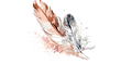 icontransparent.png