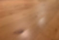 IMG_1946.jpeg