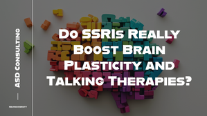 Do SSRIs Really Boost Brain Plasticity and Talking Therapies?