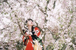 rubi_sakura02