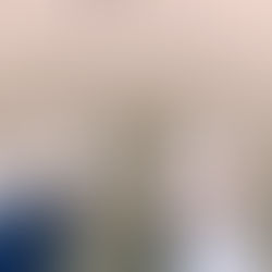 Our Introduction to VEJA