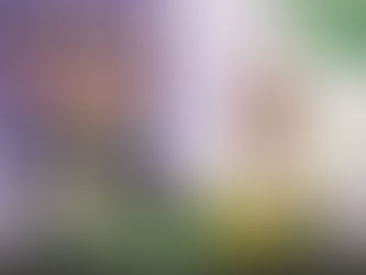 Currys supports neurodiverse customers with nationwide “Quiet Hour” initiative