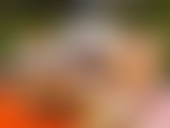 project PICNIC is a go!