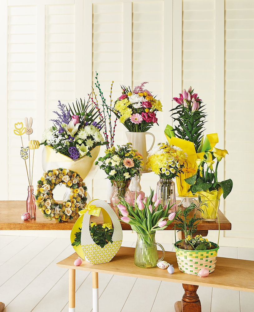 Spring has sprung! Aldi launches bright & beautiful range of Easter blooms!