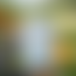 Killowen Distillery Launches Native Irish Botanical Gin in Innovative 100ml Cans