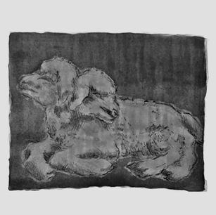 Irish Band Therapy Horse Release Haunting New Single 'Sister To None'