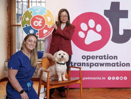 Petmania Partners with Experts to Tackle Ireland’s Pet Health Gaps
