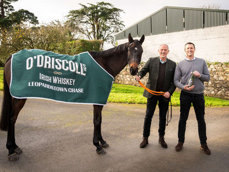 O’Driscolls Irish Whiskey Announced As New Sponsor For The Leopardstown Chase at Dublin Racing Fest
