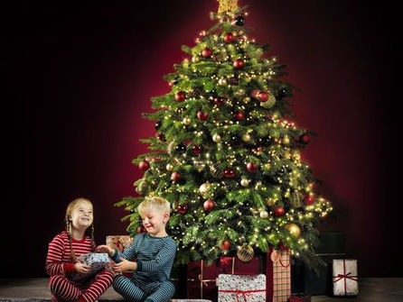 Get Christmas ready with ALDI’s 6 Foot Irish grown Christmas trees!