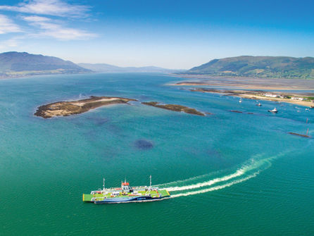 Cruise Carlingford Lough this Summer
