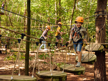 Zipit Forest Adventures set to open New Location in Djouce, Co. Wicklow