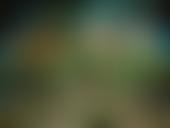 Dream Point Gets Jurassic-Sized Upgrade with New Dinosaur Room Launching in the Hit Family Experience This Weekend