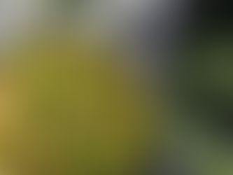 Brussels Sprouts Boom, Despite the Naysayers