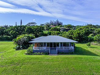 DJI_20250329024934_0088_D copy.jpg