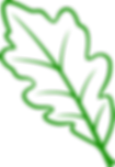 Green oak leaf outline on a black background
