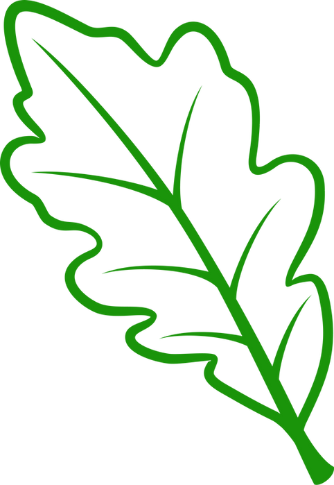 Green oak leaf outline for consultation services