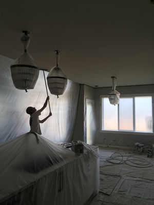 Comox Valley-Interior-Safe Paints