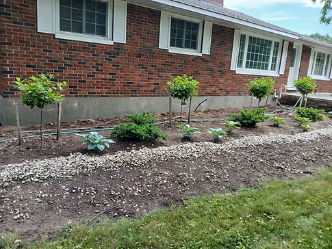 Garden bed with new plantings along a brick house foundation.