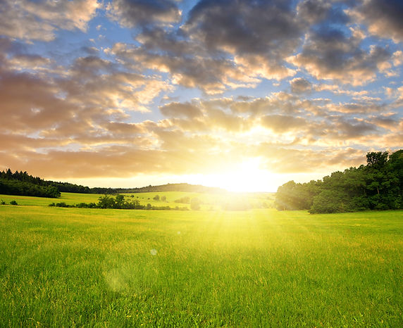 Bright sun over green field and trees