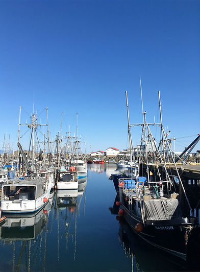 Fishing boats docked in a harbor