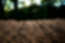 Rich, dark, fertile soil, ready for planting, with blurry forest background.