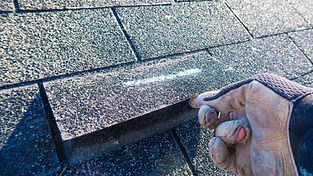Gloved hand lifting a damaged asphalt roof shingle
