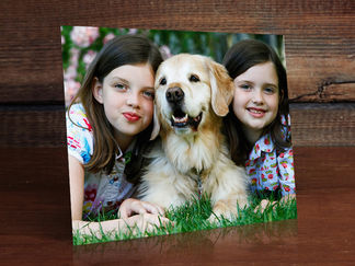 Two smiling girls with a golden retriever dog