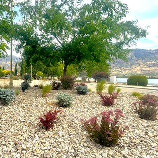Landscaped gravel garden with shrubs and mountain views.