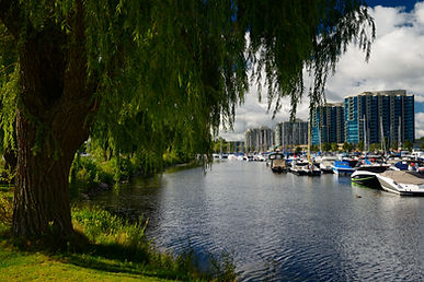 Waterfront scene with a weeping willow, boats, and city buildings
