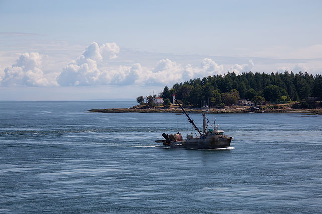 Boat on water passing a tree-covered island