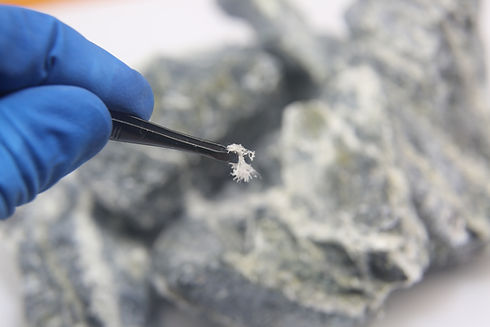 Gloved hand with tweezers holding fibrous material from a rocky surface.