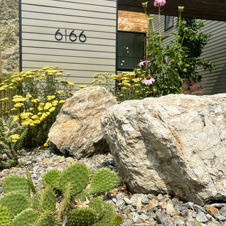 Modern desert landscaping with boulders and cactus at house 6166