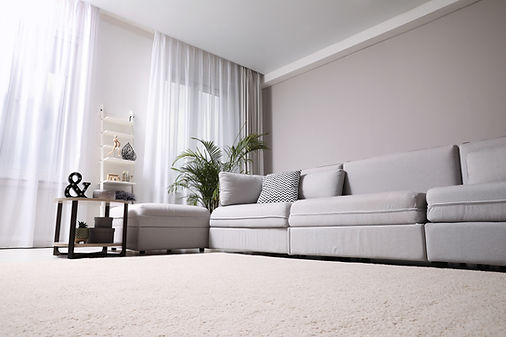 Clean plush carpet in a bright modern living room.