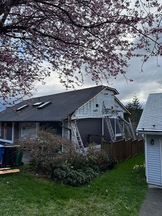House undergoing exterior renovation, visible ladders, scaffolding, cherry blossoms.