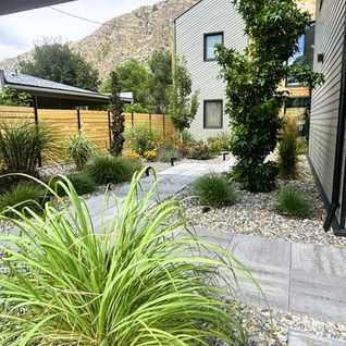 Modern landscaped garden path with ornamental grasses.