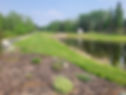Paved path, white bench, pond, and trees in a park