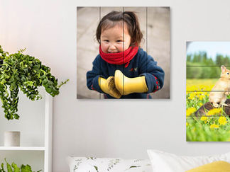 Wall prints: smiling child in scarf; dog and kitten in dandelions