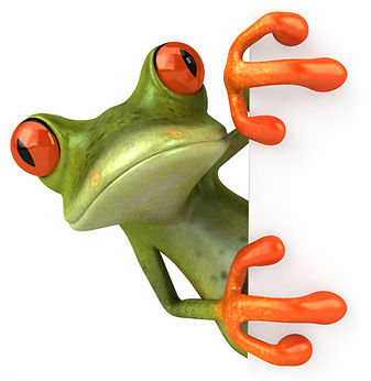 frog looking
