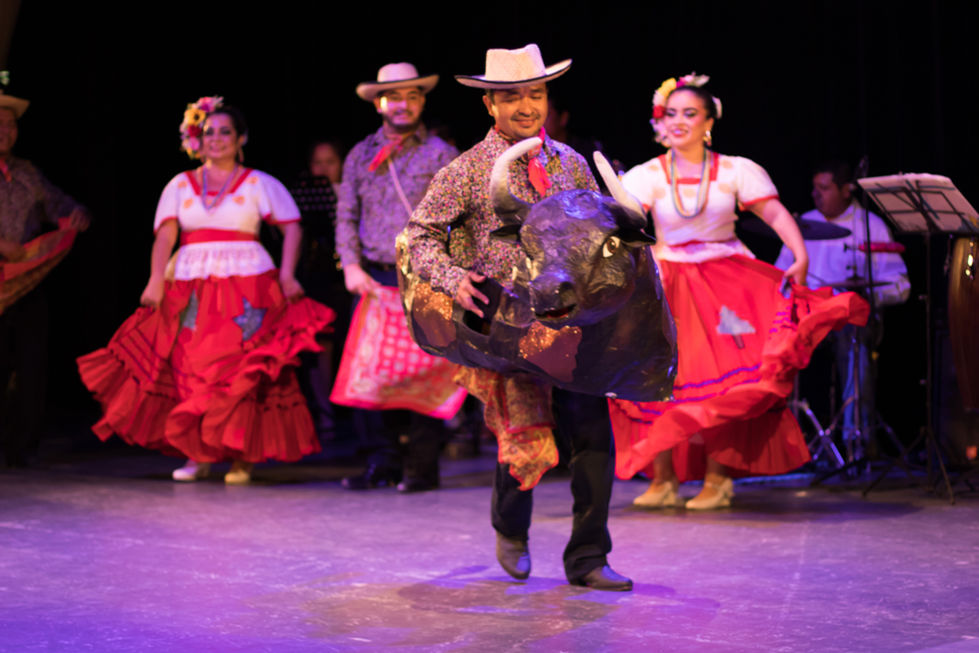 Toro pinto