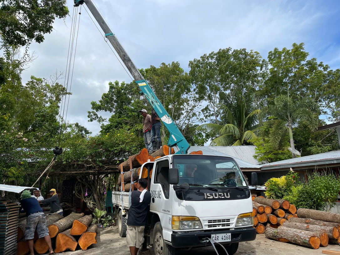 Workers loading mahogany logs onto truck