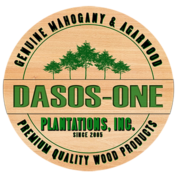 Dasos-one logo 2.png