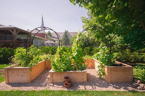 Fully installed backyard garden with raised beds and trellis