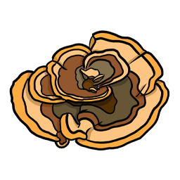 TurkeyTail_Idle_#[256x256].gif