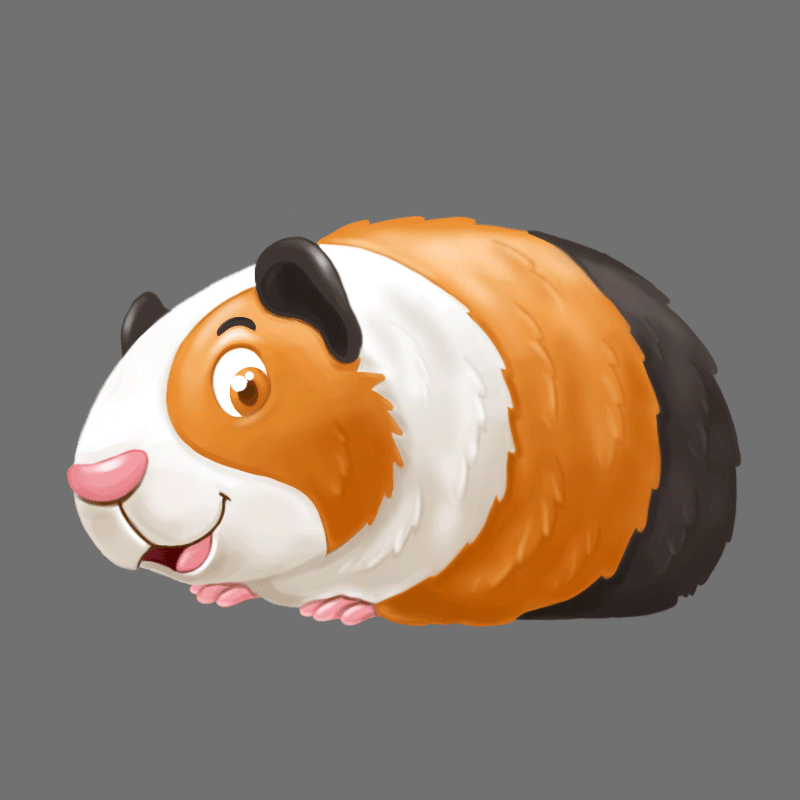 guinea-pig_animation..gif