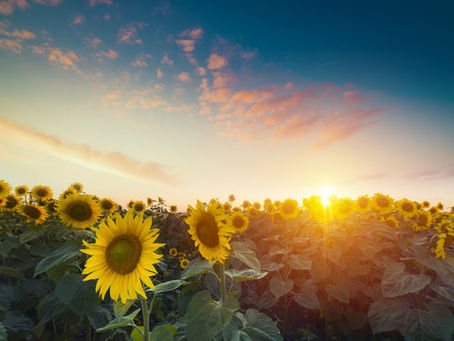 August Anticipation: Living the Chapter You’re In