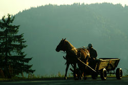 Gyergyószentmiklós felé