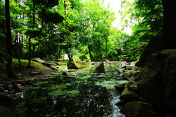 Japánkert Szentendrén