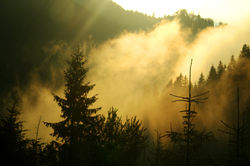 Gyergyószentmiklós felé