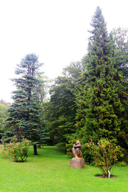 Ausztria legnagyobb rózsakertje - Baden bei Wien